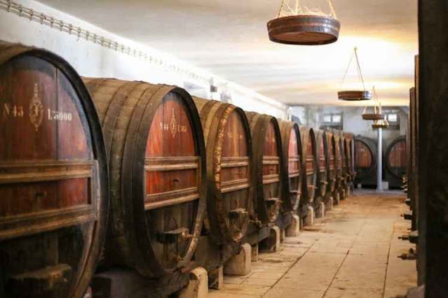 Vinhos Portugueses: Um Patrimônio de Sabor e Tradição