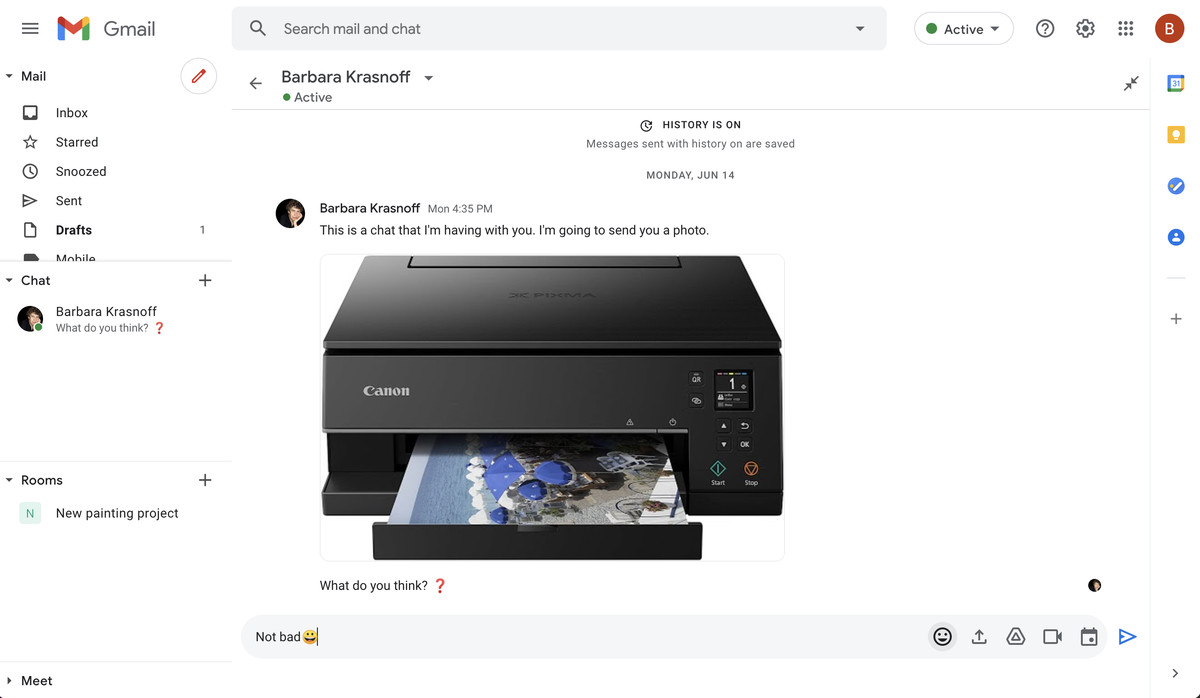 Um bate-papo pode incluir imagens e emojis.
