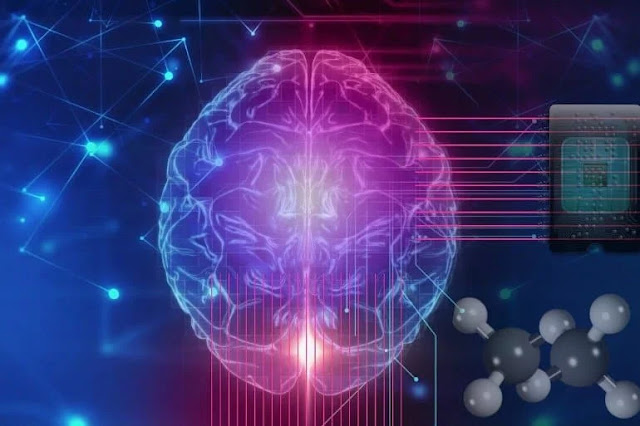 Os modelos cerebrais funcionam simulando um grande número de unidades de processamento interconectadas que se assemelham a células nervosas (neurônios) e suas interconexões (sinapses). Imagem está em domínio público Os modelos cerebrais funcionam simulando um grande número de unidades de processamento interconectadas que se assemelham a células nervosas (neurônios) e suas interconexões (sinapses). Imagem está em domínio público