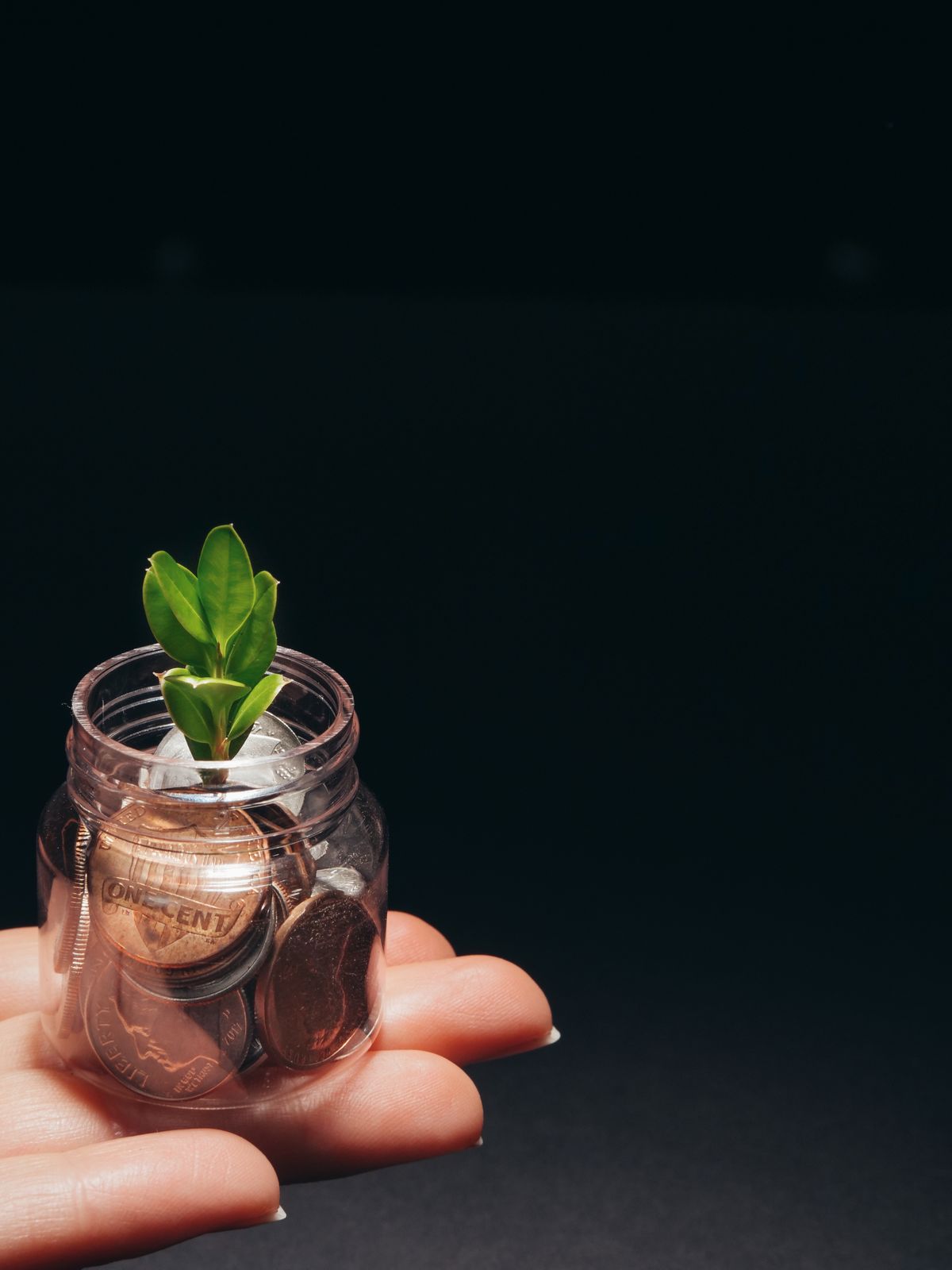 Investimentos para iniciantes em 2026: por onde começar