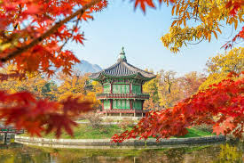 Coreia do Sul — O destino surpresa de 2026